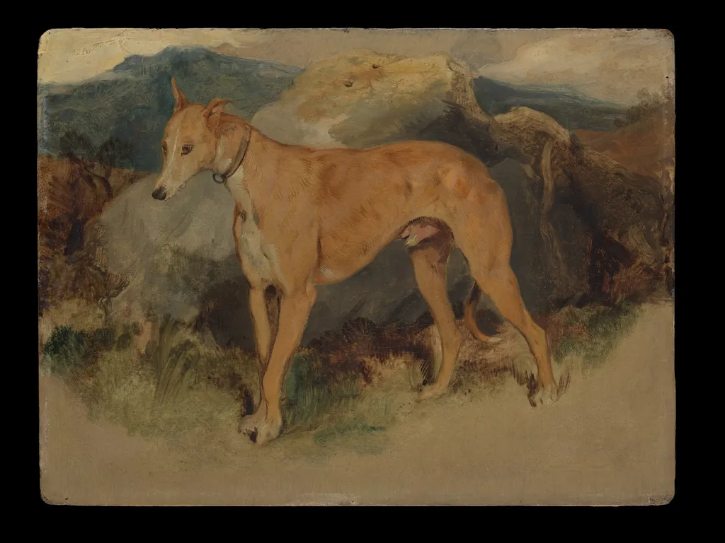 A Deerhound, by Edwin Landseer, unspecified, 1826