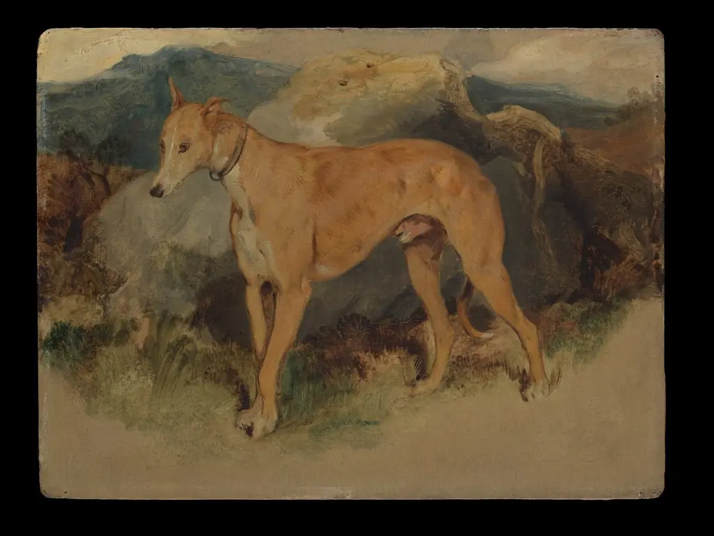 A Deerhound, by Edwin Landseer