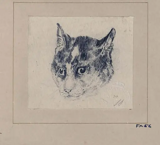 Drawing of a cat, by Edwin Landseer