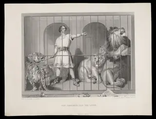 H Beard Print Collection, by Edwin Landseer