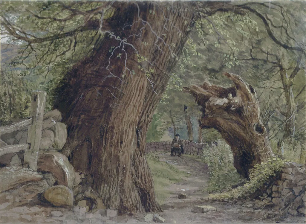 Study of trees at Llanfairfechan, North Wales, by Edwin Landseer, watercolor, 1820