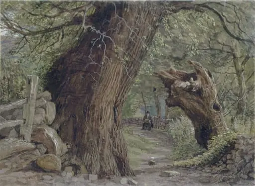 Study of trees at Llanfairfechan, North Wales, by Edwin Landseer