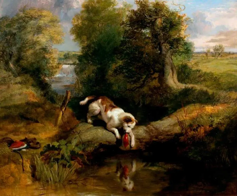 The Dog and the Shadow, by Edwin Landseer