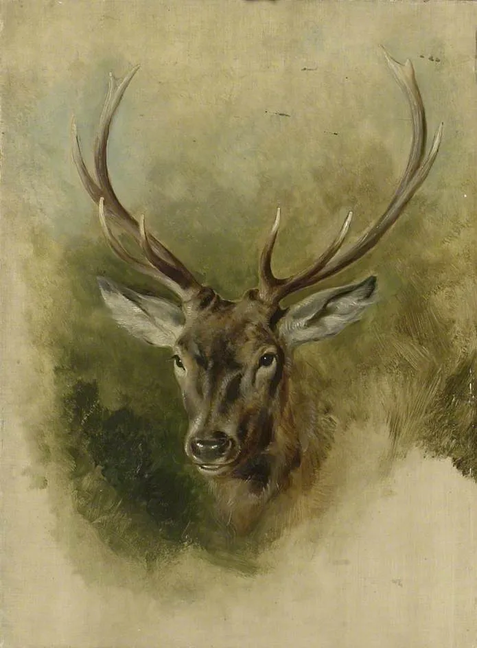 Two Studies of a Stag's Head (recto), by Edwin Landseer, oil, 1847