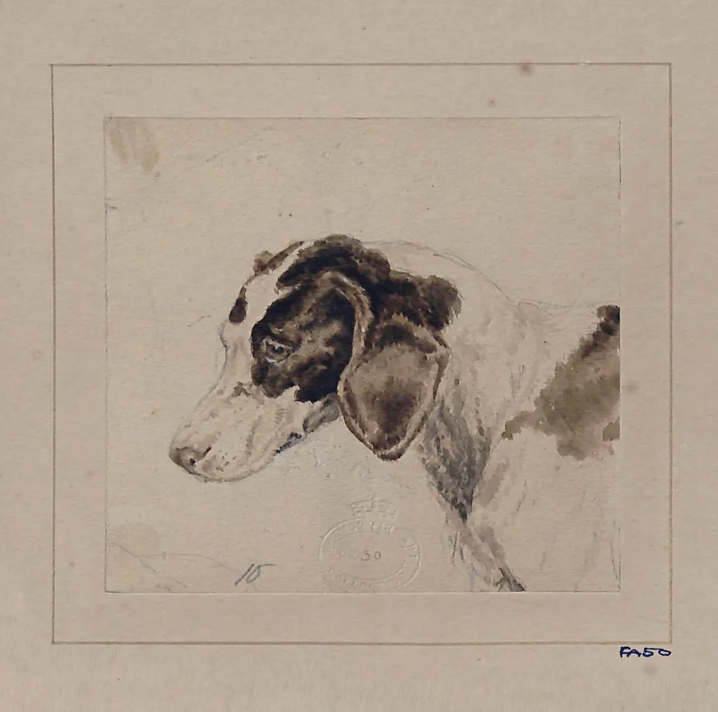 Watercolour of a dog, by Edwin Landseer, watercolor, 1812