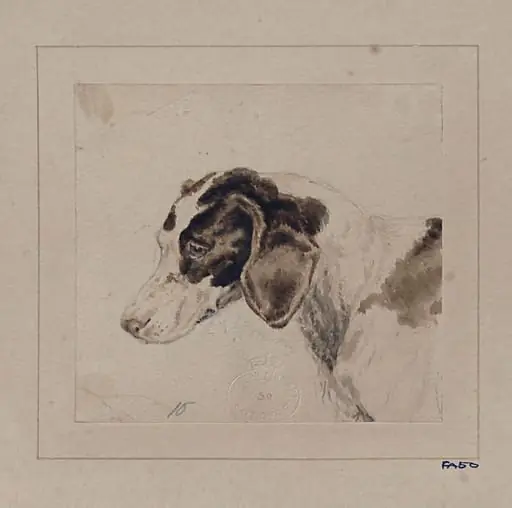 Watercolour of a dog, by Edwin Landseer