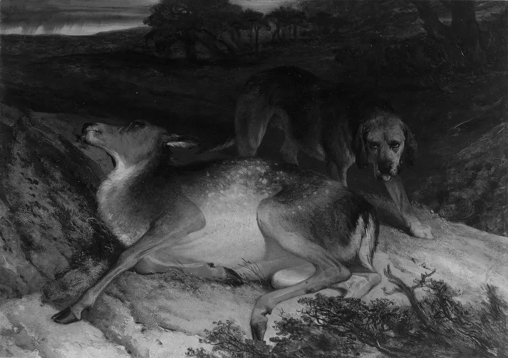 Wounded Stag and Dog, by Edwin Landseer