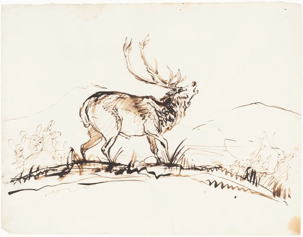 A Bellowing Stag, by Edwin, Sir Landseer, ink, 1845
