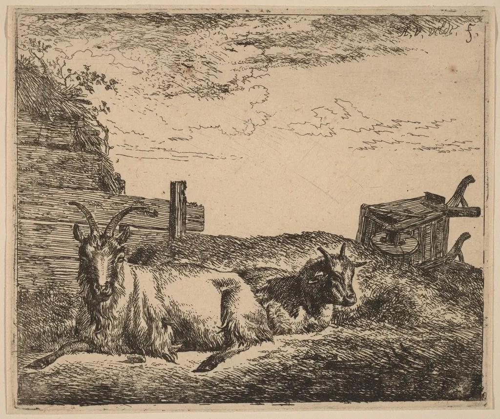 Recumbent Goats, by Adriaen van de Velde, ink, 1658