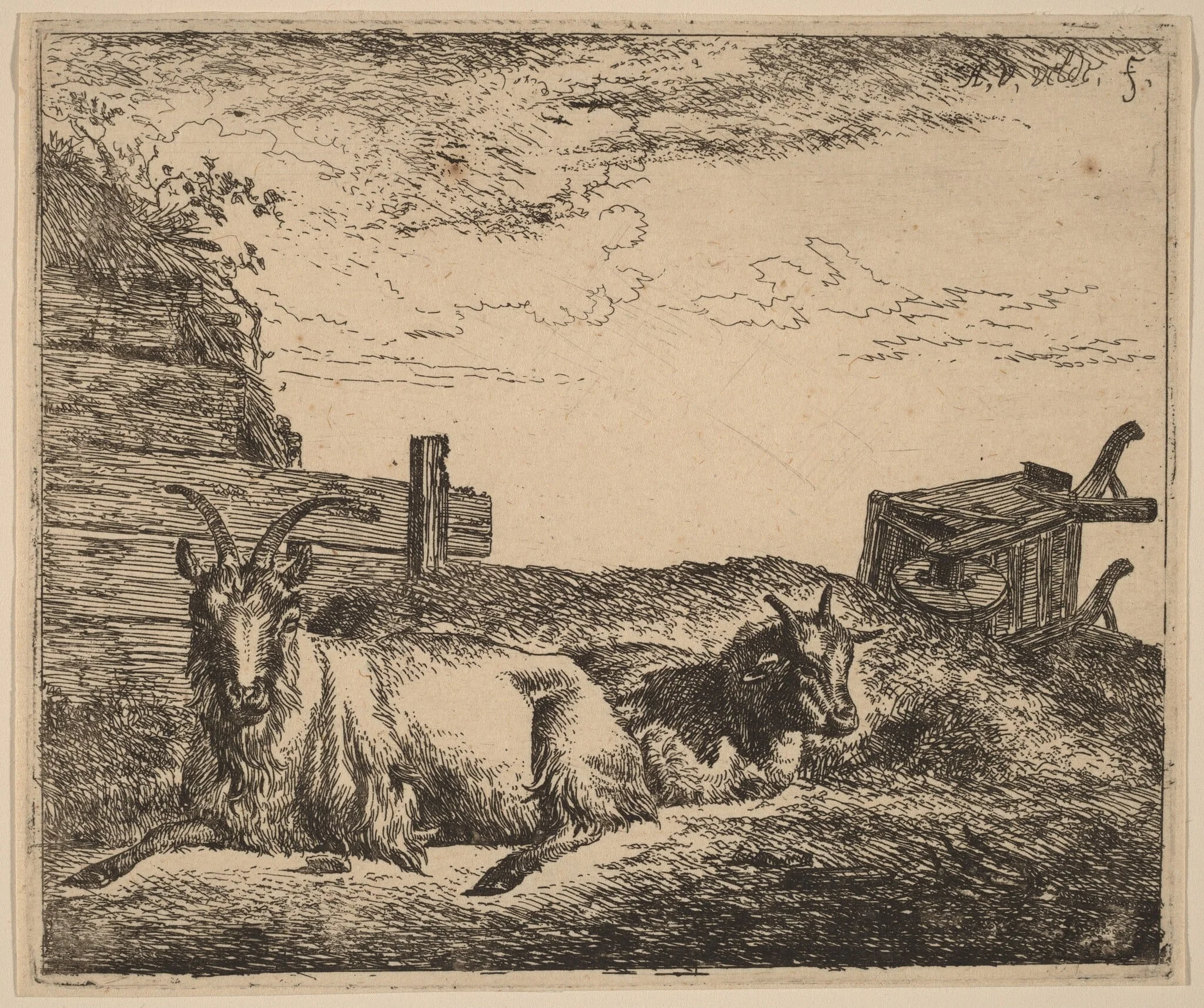 Recumbent Goats, detail
