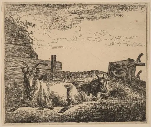 Recumbent Goats, by Adriaen van de Velde, ink, 1658