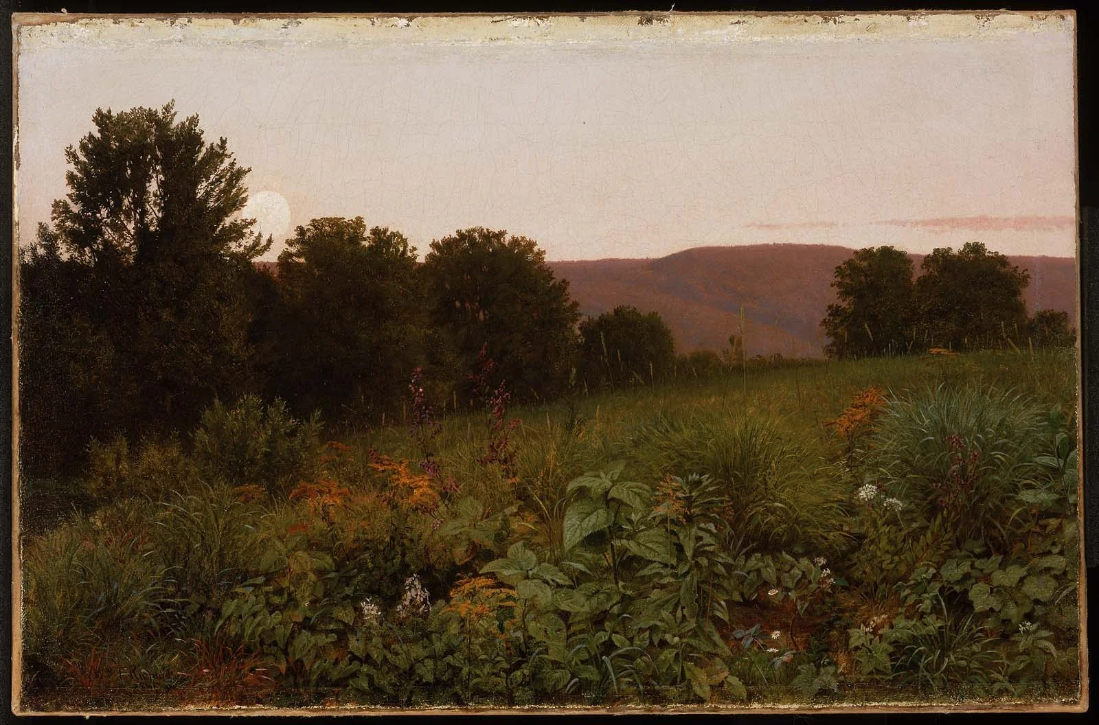 Sunset on the Meadow, detail
