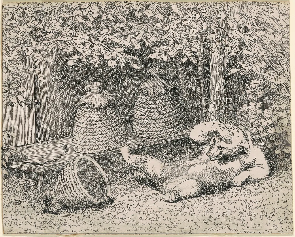 Bear Stung by Bees, by William Holbrook Beard, ink, 1865