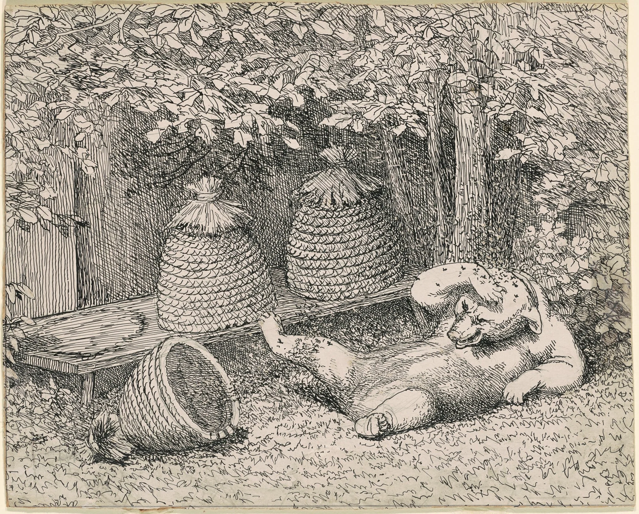 Bear Stung by Bees, detail