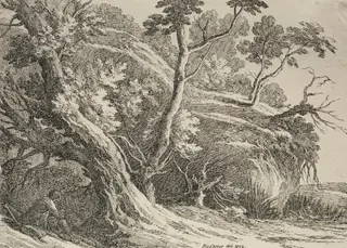 Specimens of Polyautography:  Man Seated under an Oak, by Richard Cooper, 1802