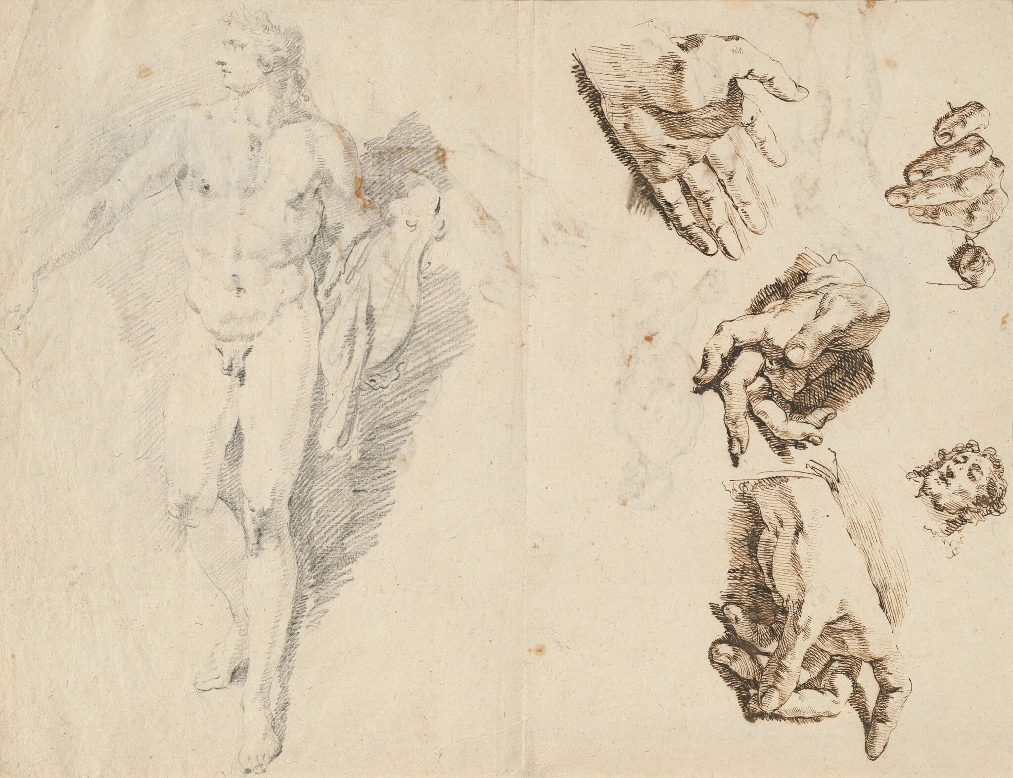 Apollo and Studies of the Artist's Own Hand [recto], detail