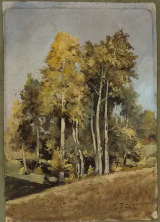 Study of trees, by Stanisław Filibert Fleury, oil, 1896