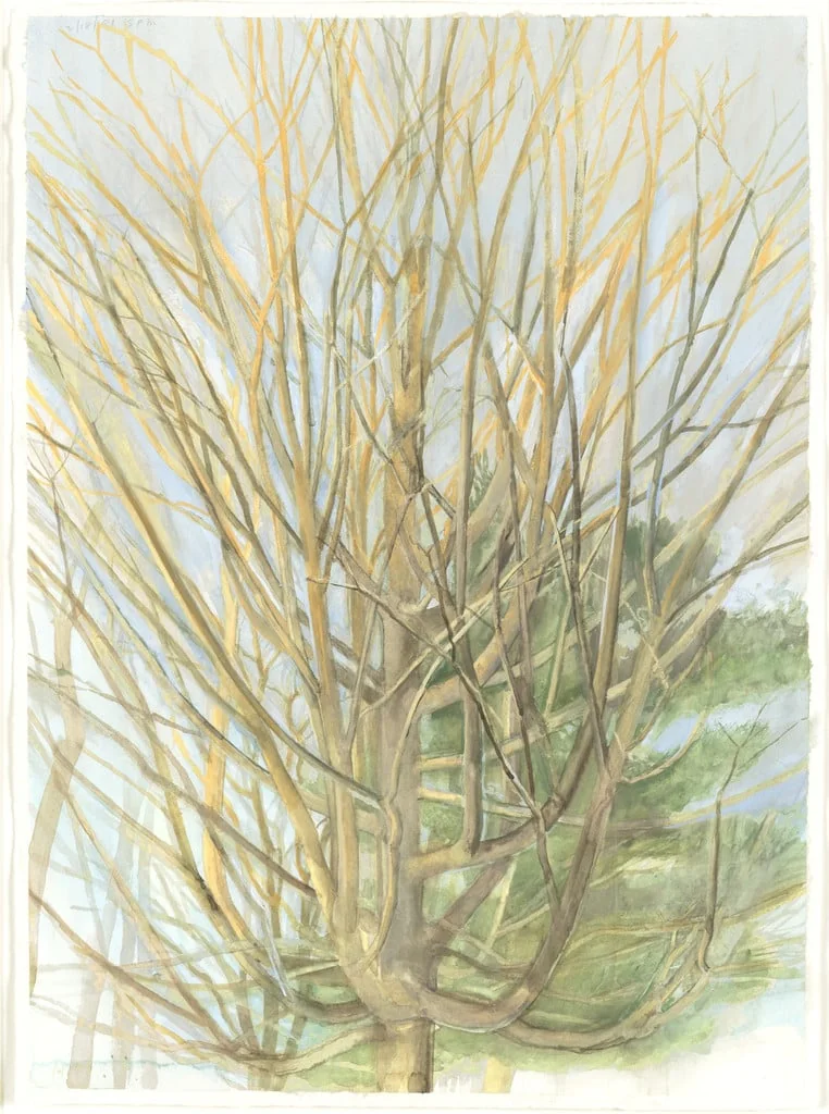 Untitled, detail