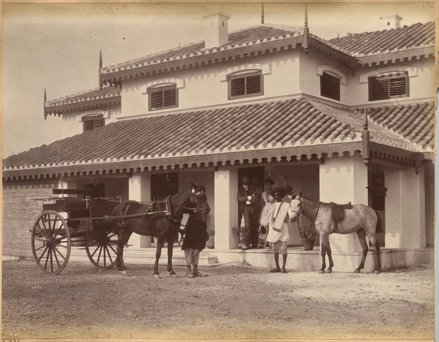 Mr. MacNull, Jhansi (verso), detail