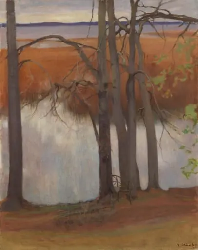 Kaislikkoranta, by Eero Järnefelt