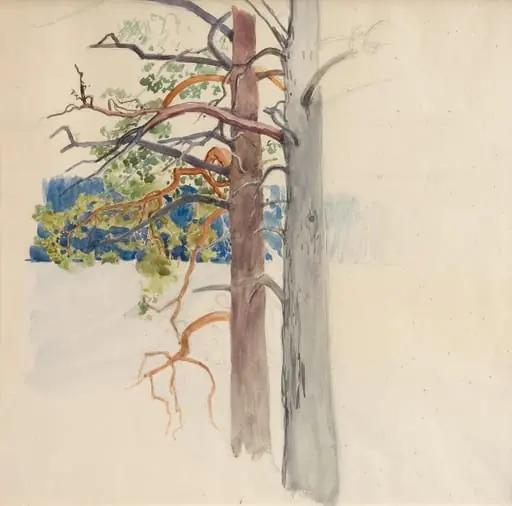 Kaksi mäntyä, by Eero Järnefelt
