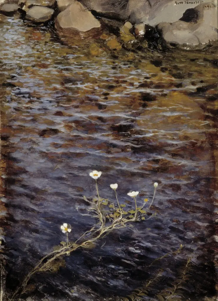Pond Water Crowfoot ; Pond Weed