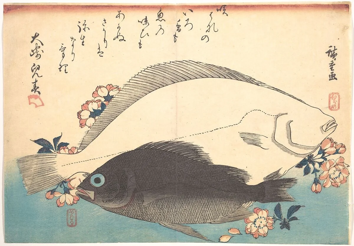 魚づくし ひらめ めばるに桜|Hirame and Mebaru Fish with Cherry Blossoms, from the series Uozukushi (Every Variety of Fish), detail