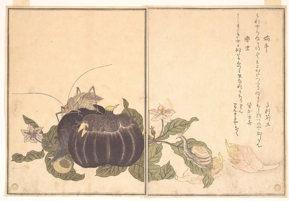 『画本虫撰』「蝸牛」「轡虫」|Land Snail (Katatsumuri); Giant Katydid (Kutsuwamushi), from the Picture Book of Crawling Creatures (Ehon mushi erami), detail