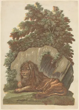 The Lion, by John Baptist Jackson, ink, 1754