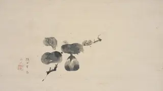 Eggplants