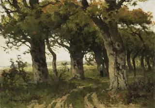 Eikenlaan in de nazomer, by Maria Bilders-van Bosse
