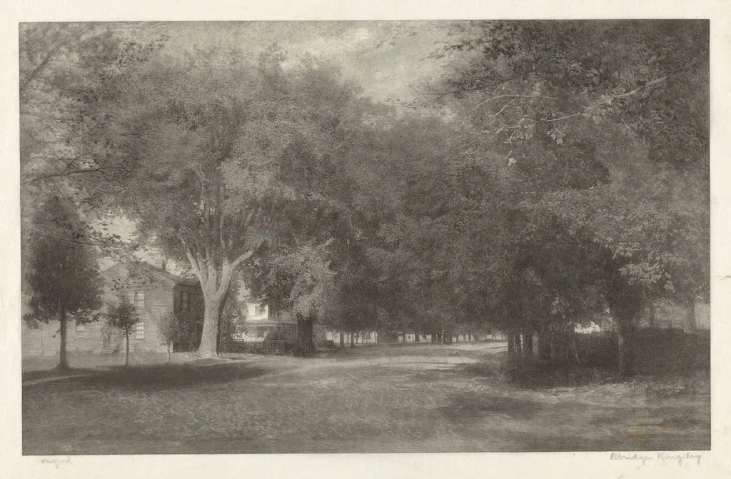 New England Elms, by Elbridge Kingsley, ink, 1890