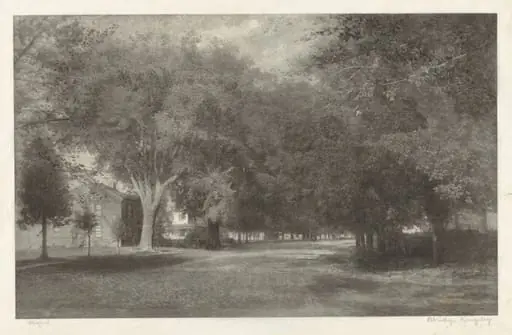New England Elms, by Elbridge Kingsley