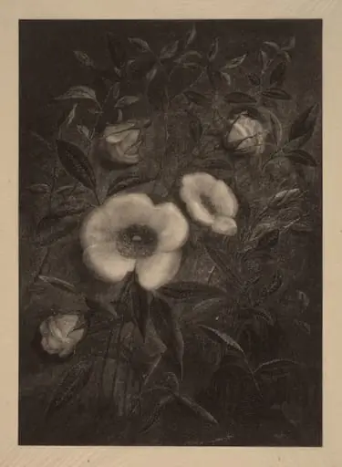 Wild Roses, by Elbridge Kingsley