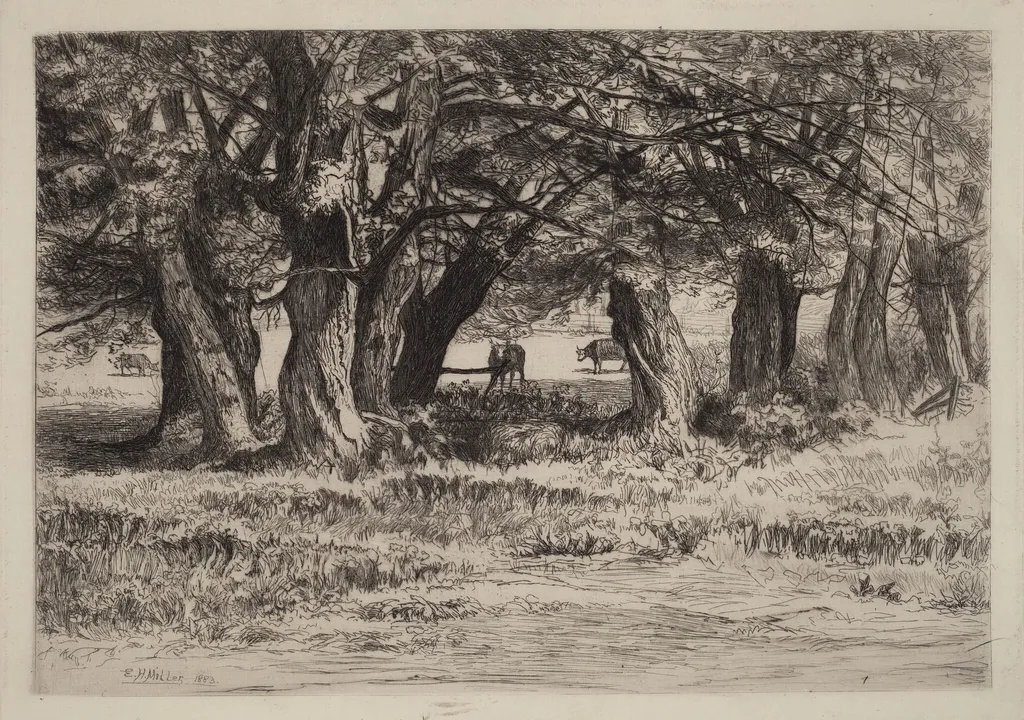 A Group of Willows, by Eleazer Hutchinson Miller, ink, 1883