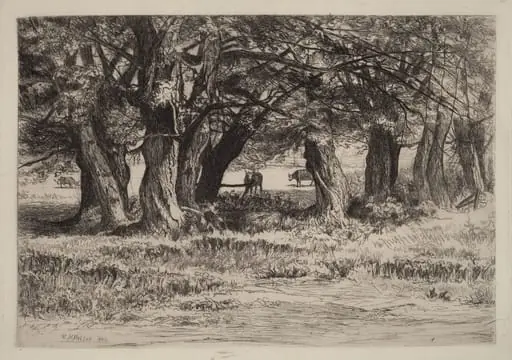 A Group of Willows, by Eleazer Hutchinson Miller