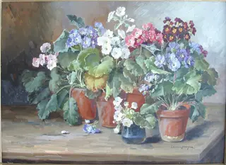 Flori (primule)