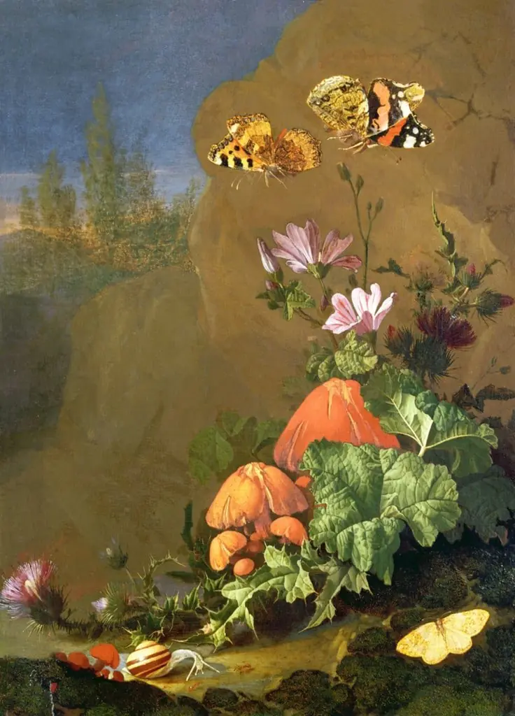 Rocky Floor with Flowers, Mushrooms, Butterflies, a Snail and a Thistle, by Elias van den Broeck