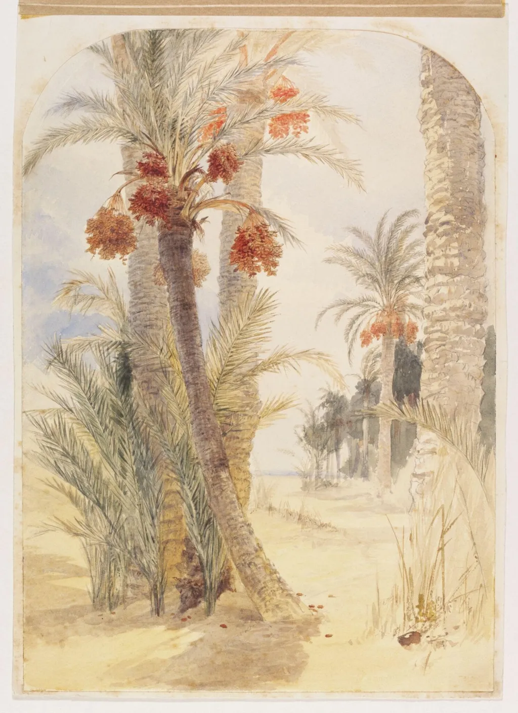 Date grove near Alexandria, by Elijah Walton, watercolor, 1865