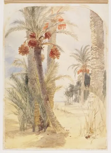 Date grove near Alexandria, by Elijah Walton