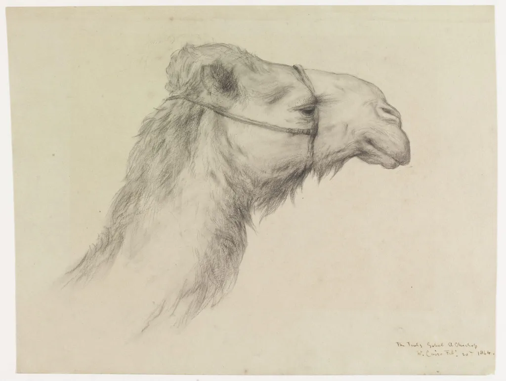 Head of a Camel, by Elijah Walton, 1864