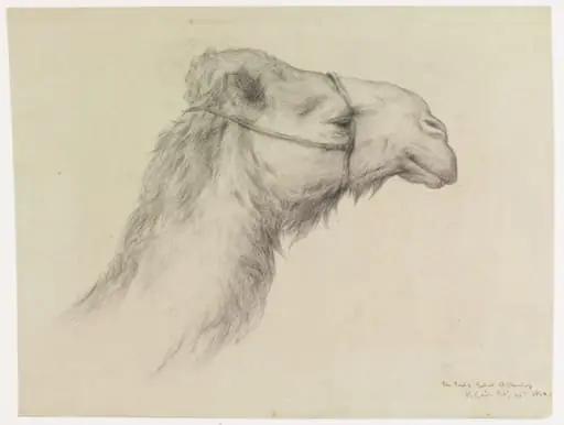 Head of a Camel, by Elijah Walton