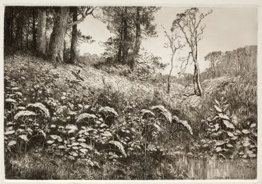 A Summer Afternoon, by Elis F. Miller