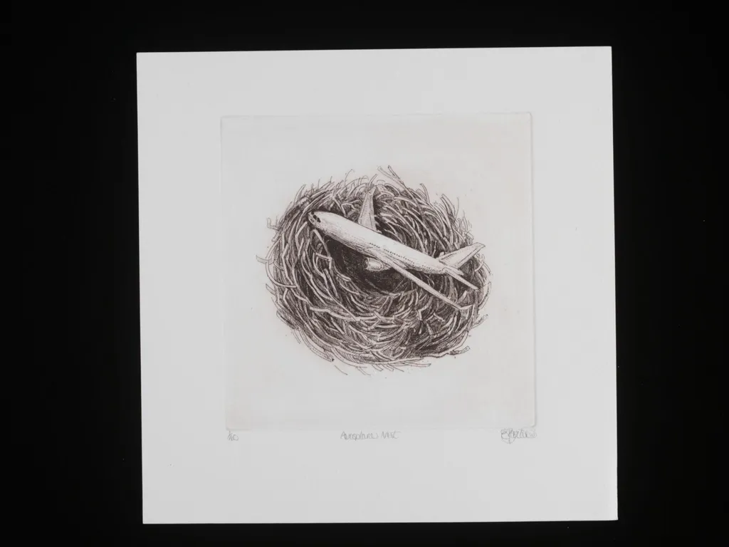 Aeroplane Nest, by Elizabeth Barton, 2010