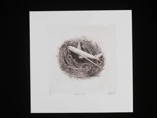 Aeroplane Nest, by Elizabeth Barton