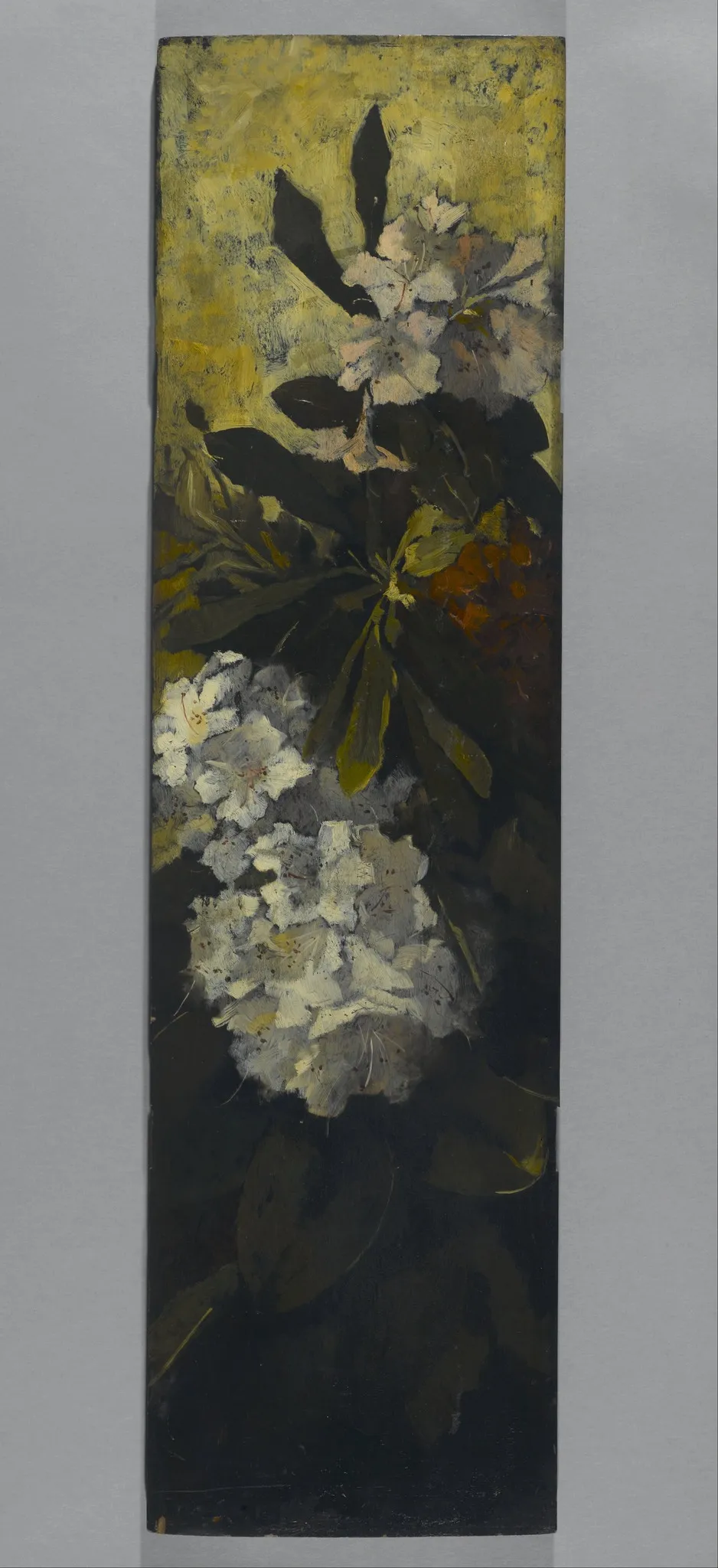 Rhododendrons, by Elizabeth Boott, unspecified
