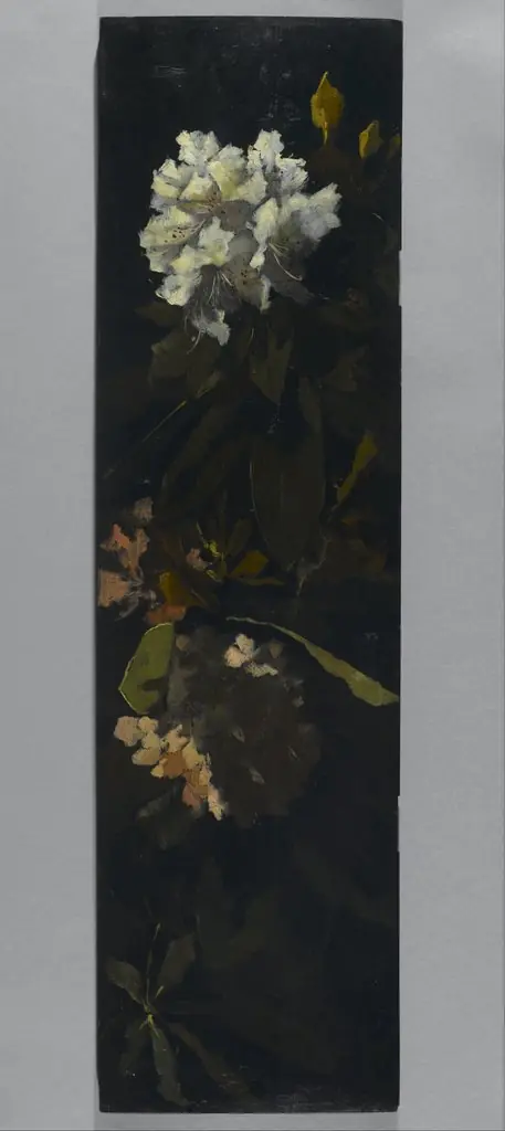 Rhododendrons, by Elizabeth Boott