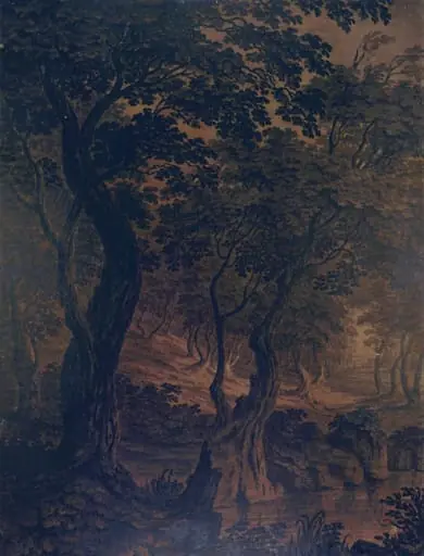 Wood Scene, by Elizabeth Upton