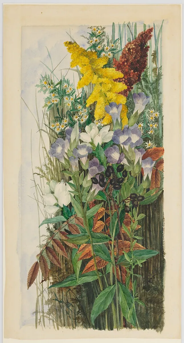 Wildflowers, by Ellen Robbins, watercolor, 1875