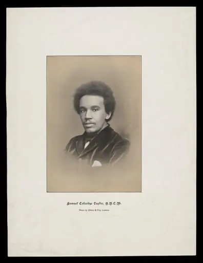 H Beard Print Collection